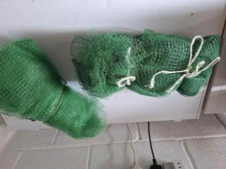 Photo of free Plastic Netting / Garden&Greenhouse (Easington OX16) #1