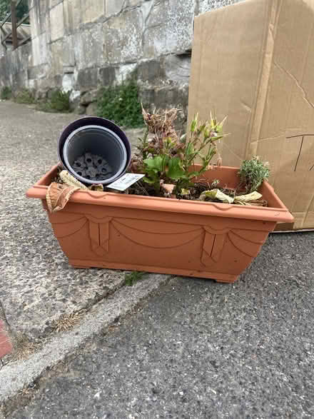 Photo of free Plant pots (Bath BA2) #1