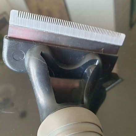 Photo of free animal fur stripper. (Northop Hall CH7) #1