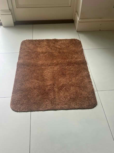 Photo of free 2 dirt trapper rugs (Grove Park W4) #2
