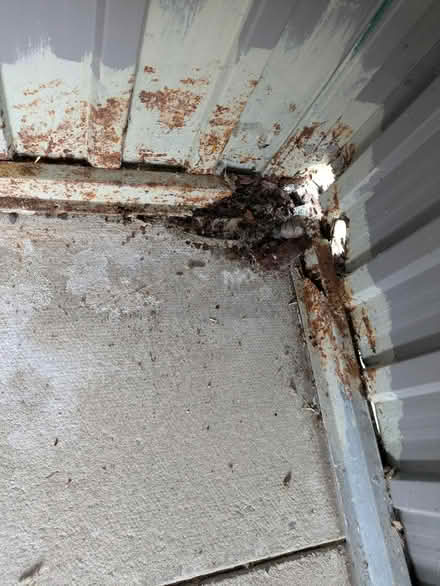 Photo of free Metal Shed 6 x 6 (Kidsgrove ST74) #4