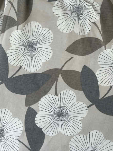 Photo of free Pair of curtains (Brighton BN1) #2