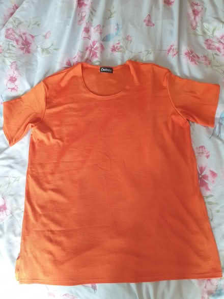 Photo of free XXL Womens T-shirts BUNDLE (Garston, WD25) #2