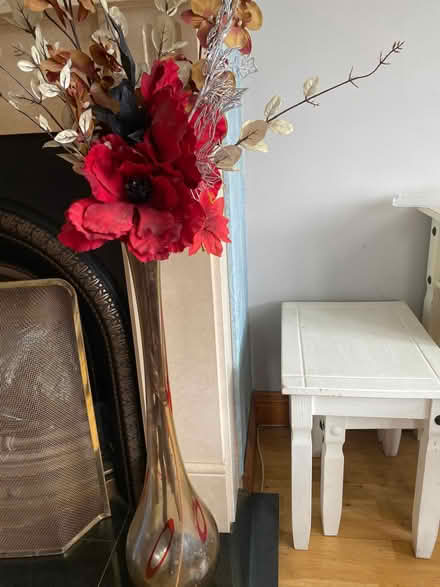 Photo of free Tall vase with flowers (Dublin) #1