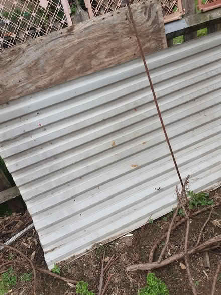Photo of free Metal corrugated sheet (Enfield EN2) #1