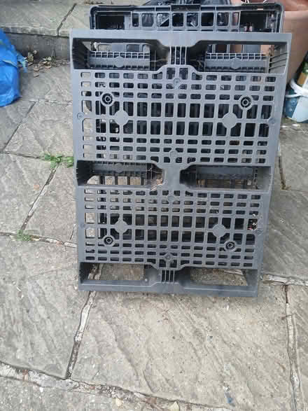 Photo of free 4 Pallets (Thornton heath) #3