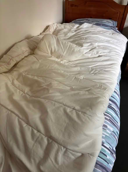 Photo of free Double Bed Items (Winfrith DT2) #1