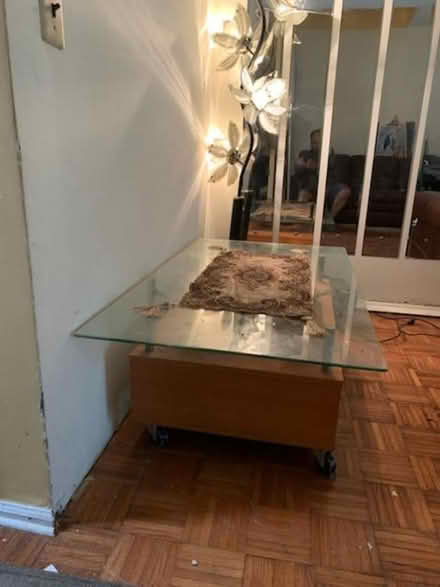 Photo of free stuff (South Brunswick) #3