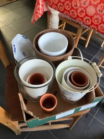 Photo of free Indoor plant pots (Woolton L25) #1