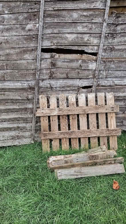 Photo of free Wood (Calow S44) #3