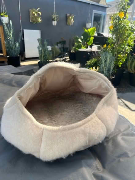 Photo of free Used cat bed in good condition (Hawthorne) #1