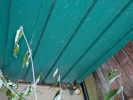 Photo of free Metal Shed 6 x 6 (Kidsgrove ST74) #3