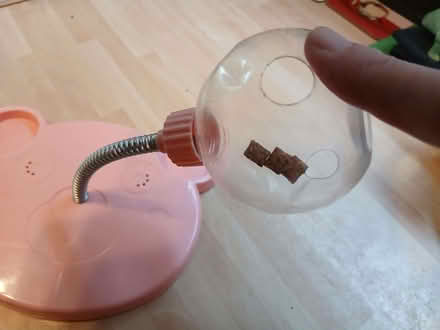 Photo of free Dog toy, small treats dispenser (Colchester CO1) #2