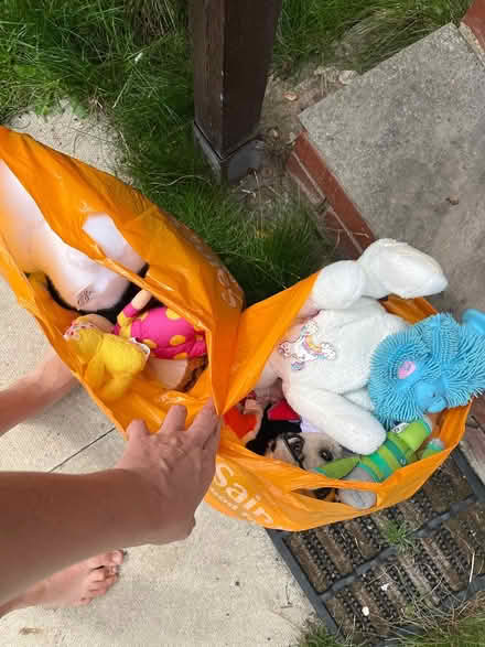 Photo of free 2 bags of Teddies (WF4) #1