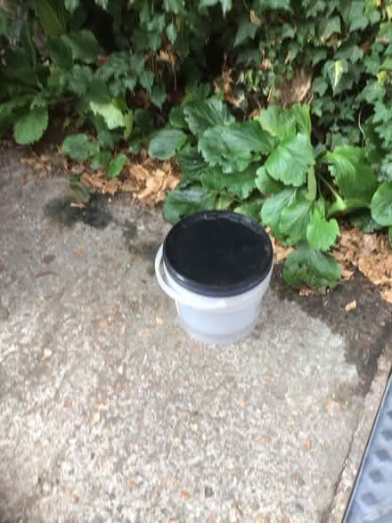 Photo of free Plastic tubs (Wescott RG40) #2