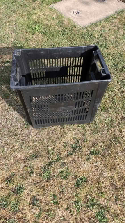 Photo of free Black plastic basket (Calcot RG31) #1
