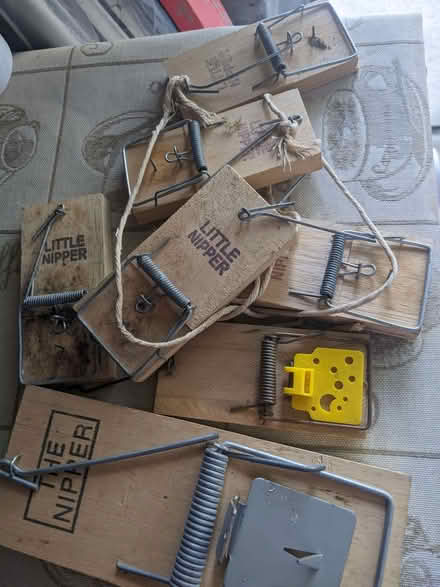 Photo of free Traps (Knotty Ash L12) #1