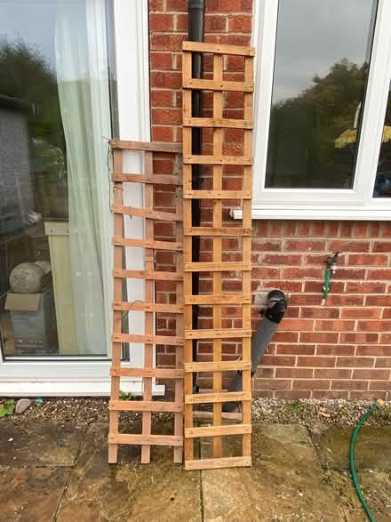 Photo of free 2 x Trellis (Harrogate HG2) #1