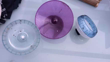 Photo of free Hamster Wheels (Wistaston CW2) #1