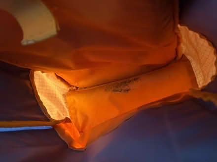 Photo of free Stylish backpack for commuting 20l approx (Coton Hill SY1) #4