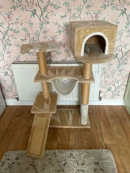 Photo of free Cat tree (Water Eaton MK2) #1