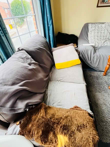 Photo of free Old but comfy couch (NW2) #2