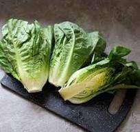 Photo of free Lots of Little Gem Lettuce (Bracknell Forest RG12) #1