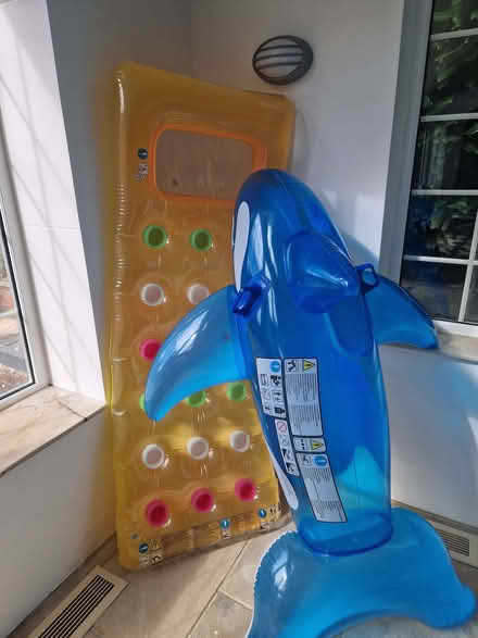 Photo of free Pool inflatables (Kew TW9) #1
