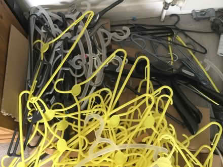 Photo of free Hangers (Claygate KT10) #2