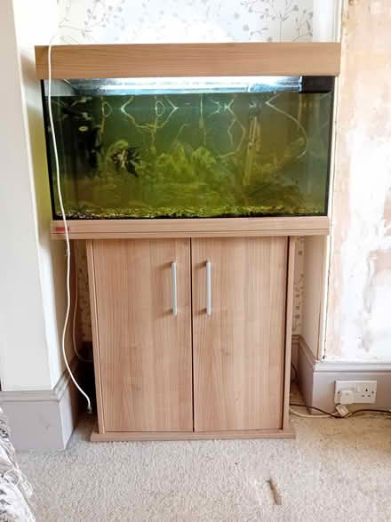 Photo of free Aquarium on base (Wellington somerset) #1