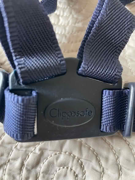 Photo of free Safety reins for toddler (Abingdon OX14) #2