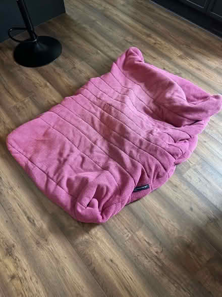 Photo of free 2 Ambient Lounge beanbags (Green Street Green BR6) #1