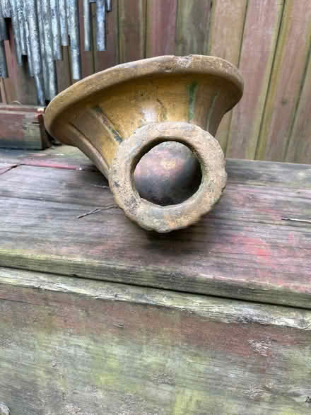 Photo of free Cornucopia (Morrow) #1
