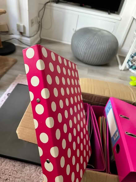 Photo of free Brand new ring binder folders (Wandsworth) #4