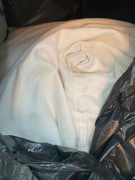 Photo of free Bag of bean bag beans (BN1) #1