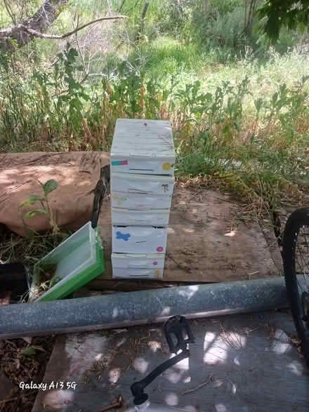 Photo of free Plastic drawers (Green mountainish) #1