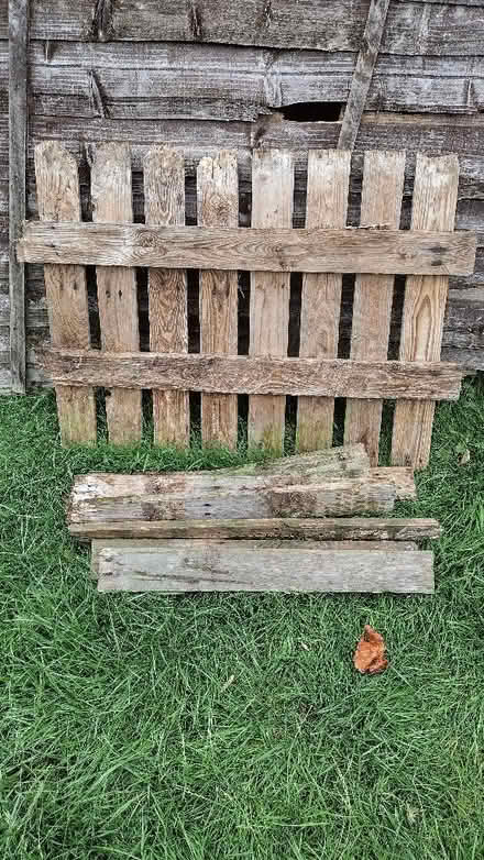 Photo of free Wood (Calow S44) #2