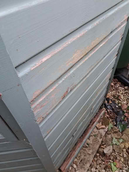 Photo of free Summerhouse (Botley OX2) #4