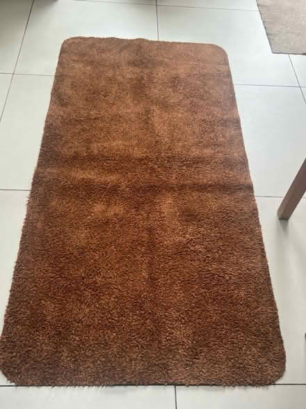Photo of free 2 dirt trapper rugs (Grove Park W4) #1