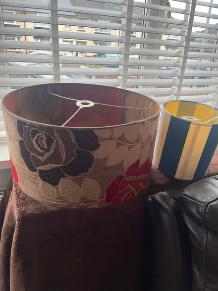 Photo of free Large Light Shade (Tremorfa, Cardiff CF24) #1