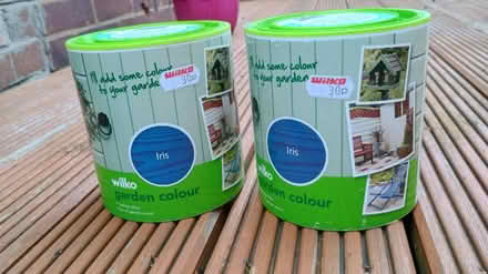 Photo of free Wood Paint (IP4) #1