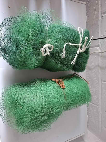 Photo of free Plastic Netting / Garden&Greenhouse (Easington OX16) #2