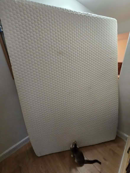 Photo of free Double Mattress + Bedding – ASAP Pickup (Waterlooville) (Waterlooville PO8) #2