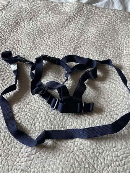 Photo of free Safety reins for toddler (Abingdon OX14) #1