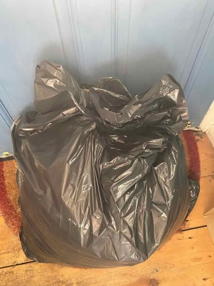 Photo of free Bag of bean bag beans (BN1) #2