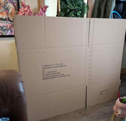 Photo of free Huge packing boxes (Freehold LA1) #1