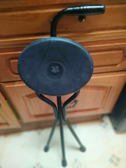 Photo of free Walking Stick/Seat (Painswick GL6) #3