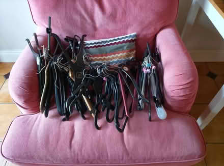 Photo of free Lots of hangers! (Ware SG12) #1