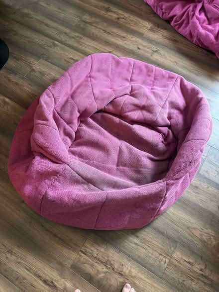 Photo of free 2 Ambient Lounge beanbags (Green Street Green BR6) #2