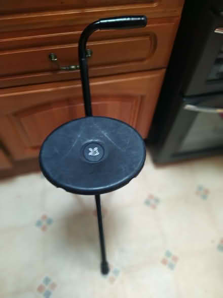 Photo of free Walking Stick/Seat (Painswick GL6) #1